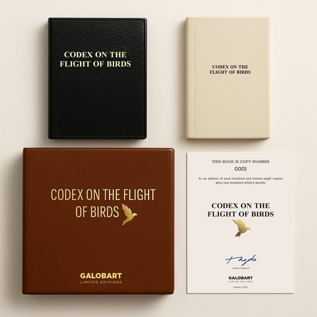 Codex On The Flights Of Birds