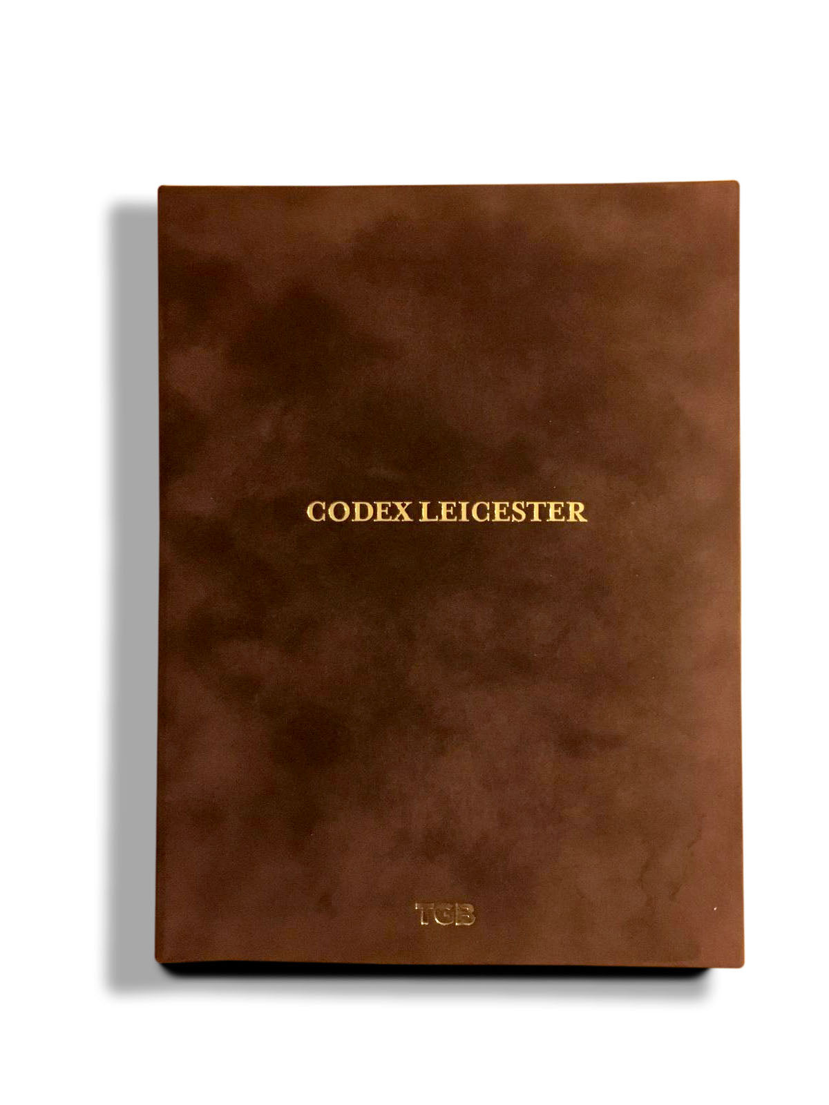 Codex Leicester (Leonardo Da Vinci)