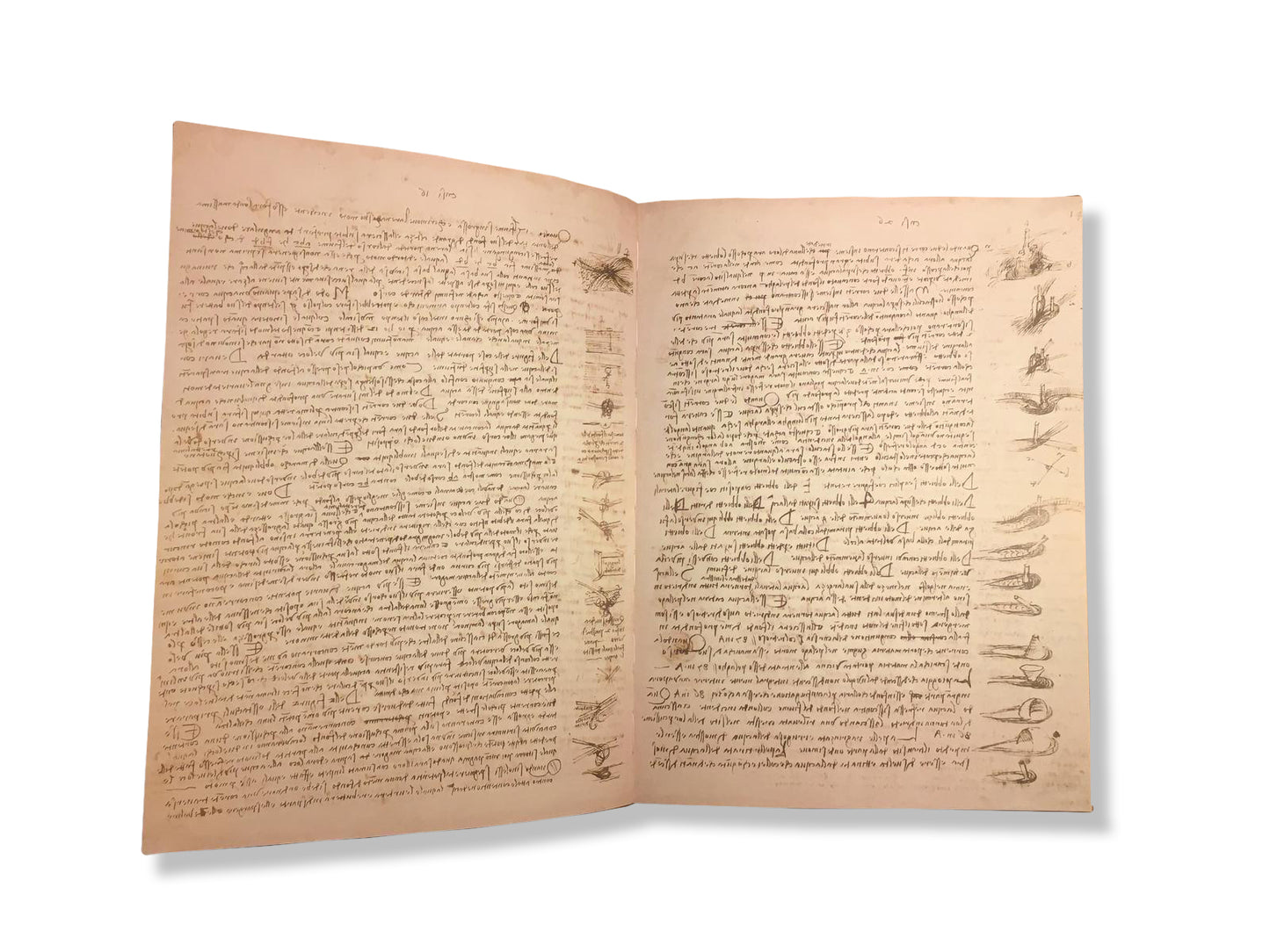 Codex Leicester (Leonardo Da Vinci)
