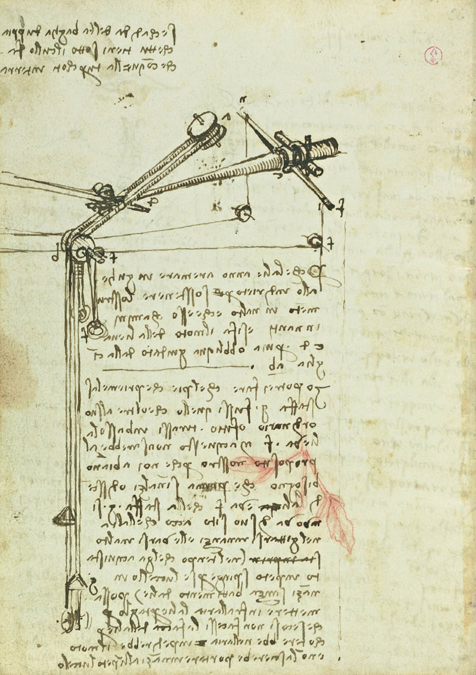 Codex On The Flights Of Birds