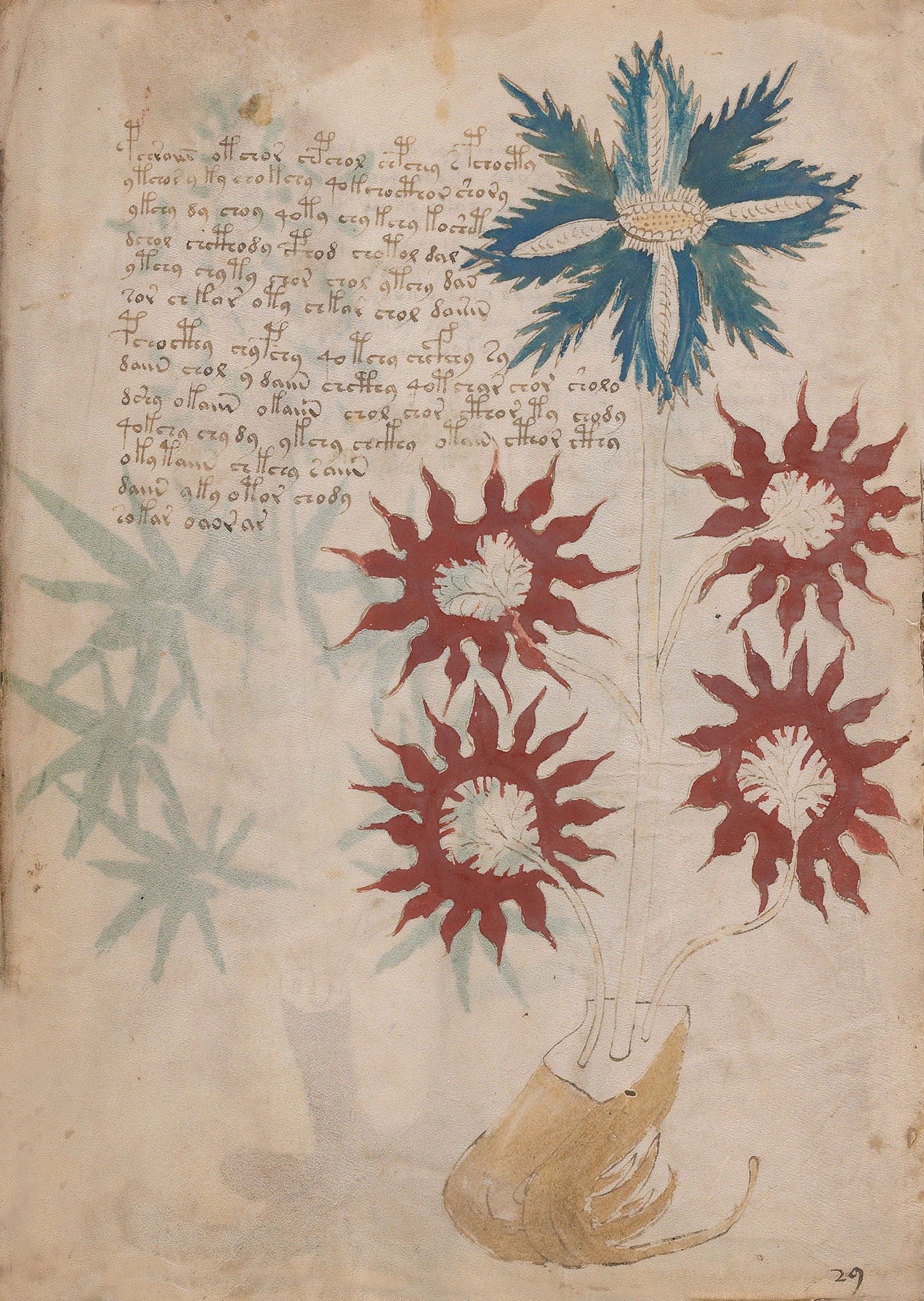 El Manuscrito Voynich