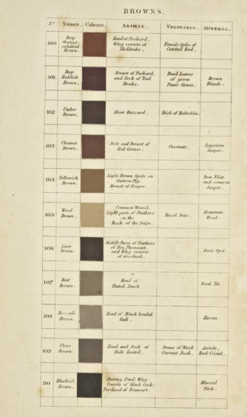 Masters Of Color - Collector's Edition