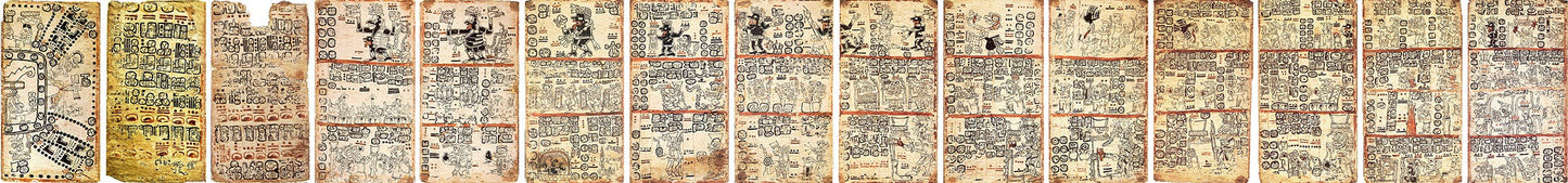 El Códice Tro-cortesiano