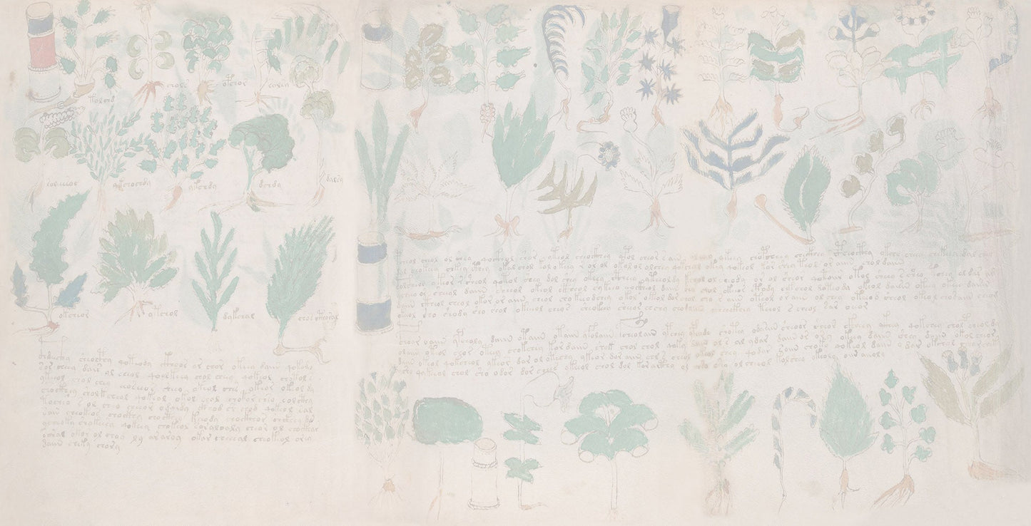 El Manuscrito Voynich