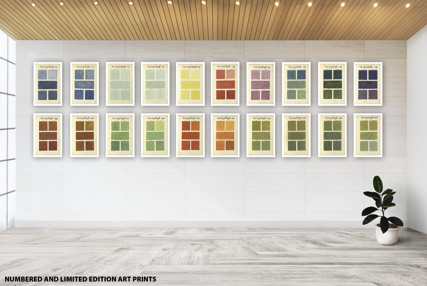 300 AÑOS ANTES DEL COLOR art prints
