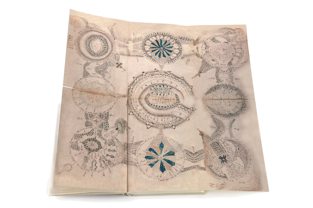 El Manuscrito Voynich