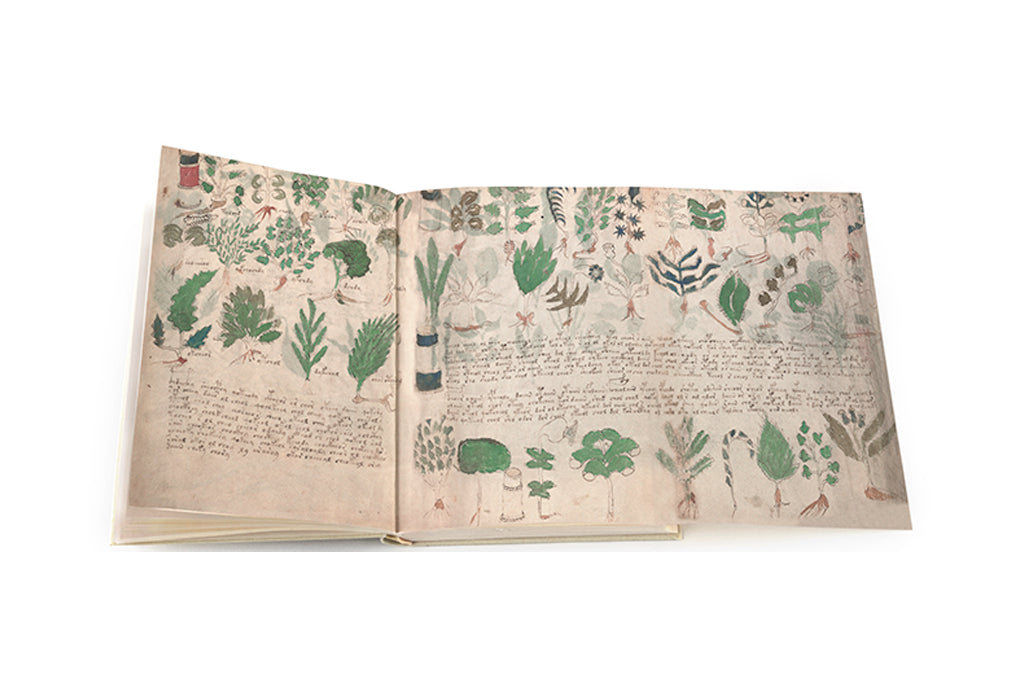 El Manuscrito Voynich