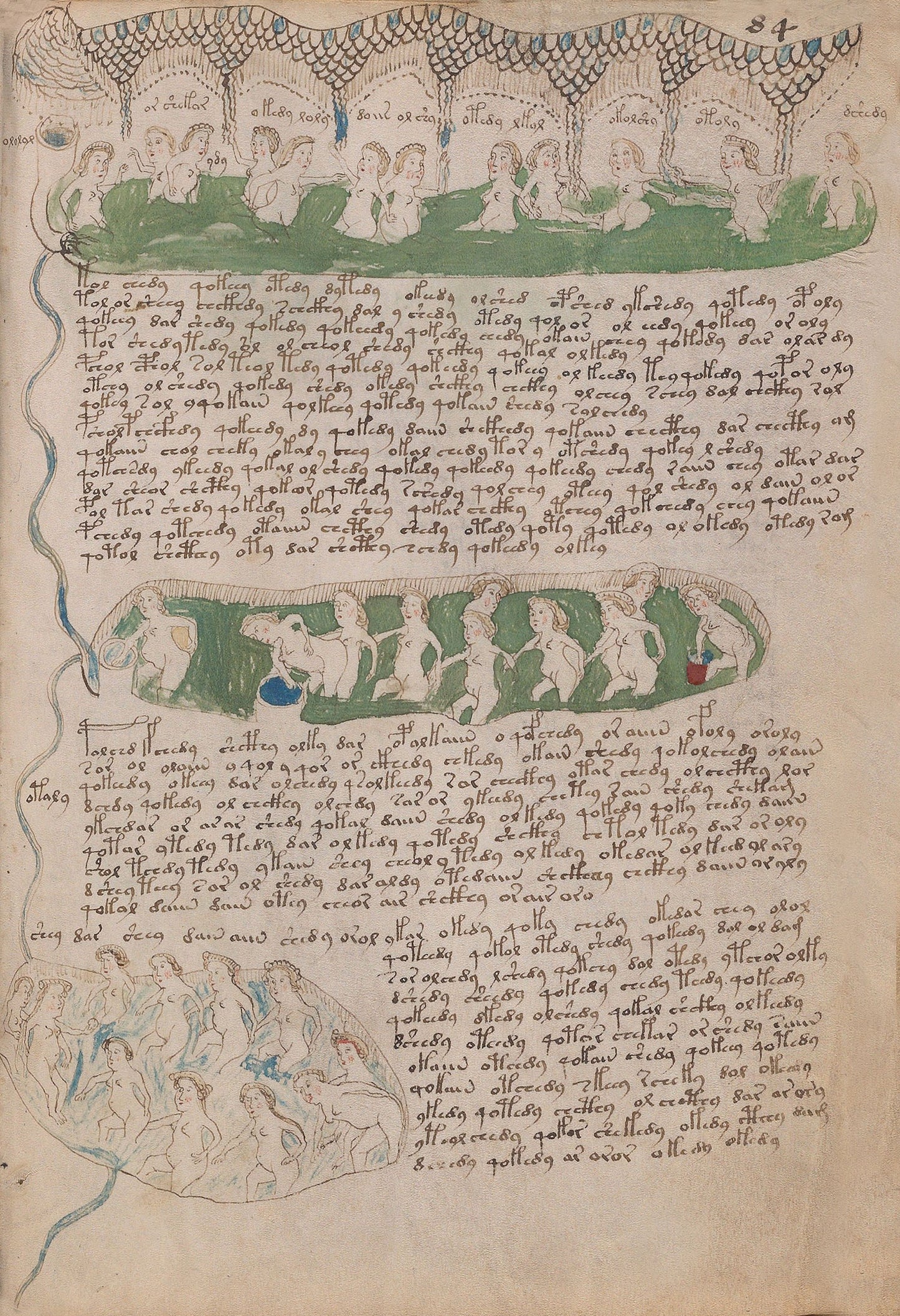 El Manuscrito Voynich  XXL