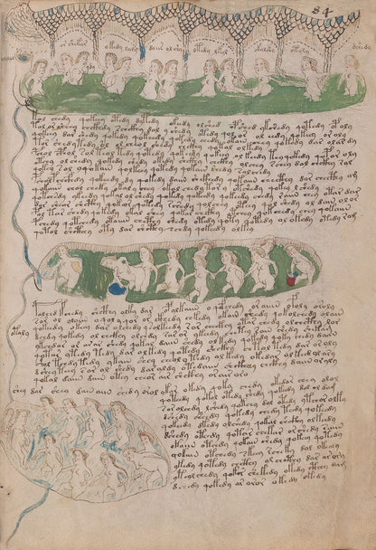 El Manuscrito Voynich  XXL