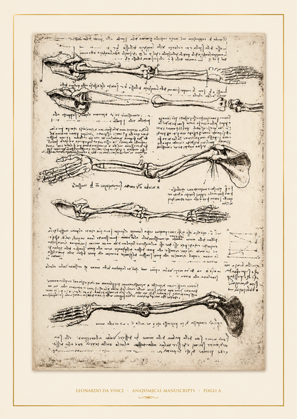 Leonardo da Vinci — Anatomical Manuscripts · Fogli A