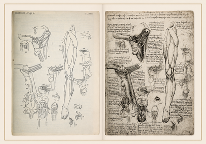 Leonardo da Vinci — Anatomical Manuscripts · Fogli A