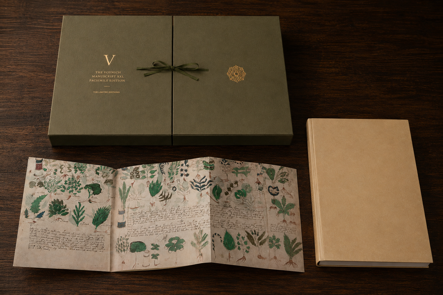 El Manuscrito Voynich  XXL