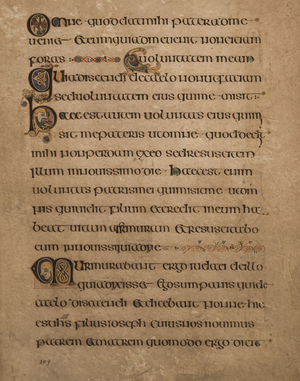 Libro de Kells — Edición XL · 13