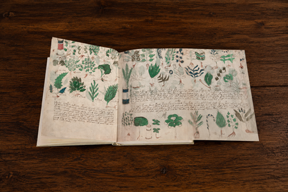 El Manuscrito Voynich  XXL