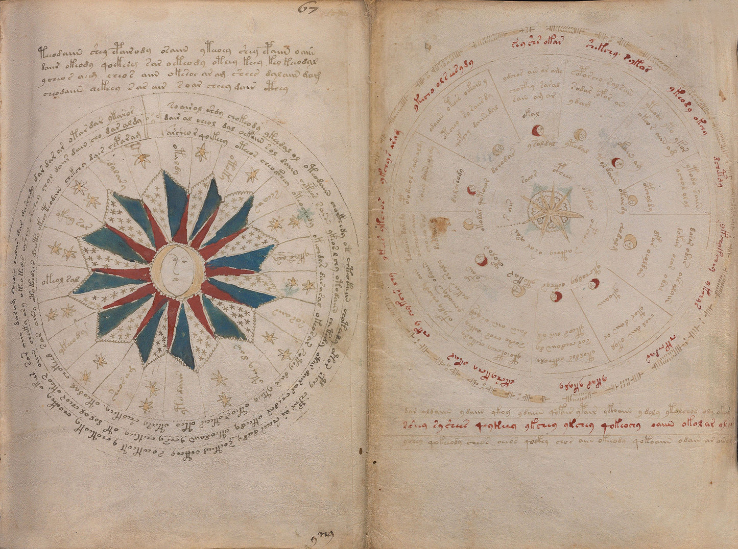 El Manuscrito Voynich  XXL