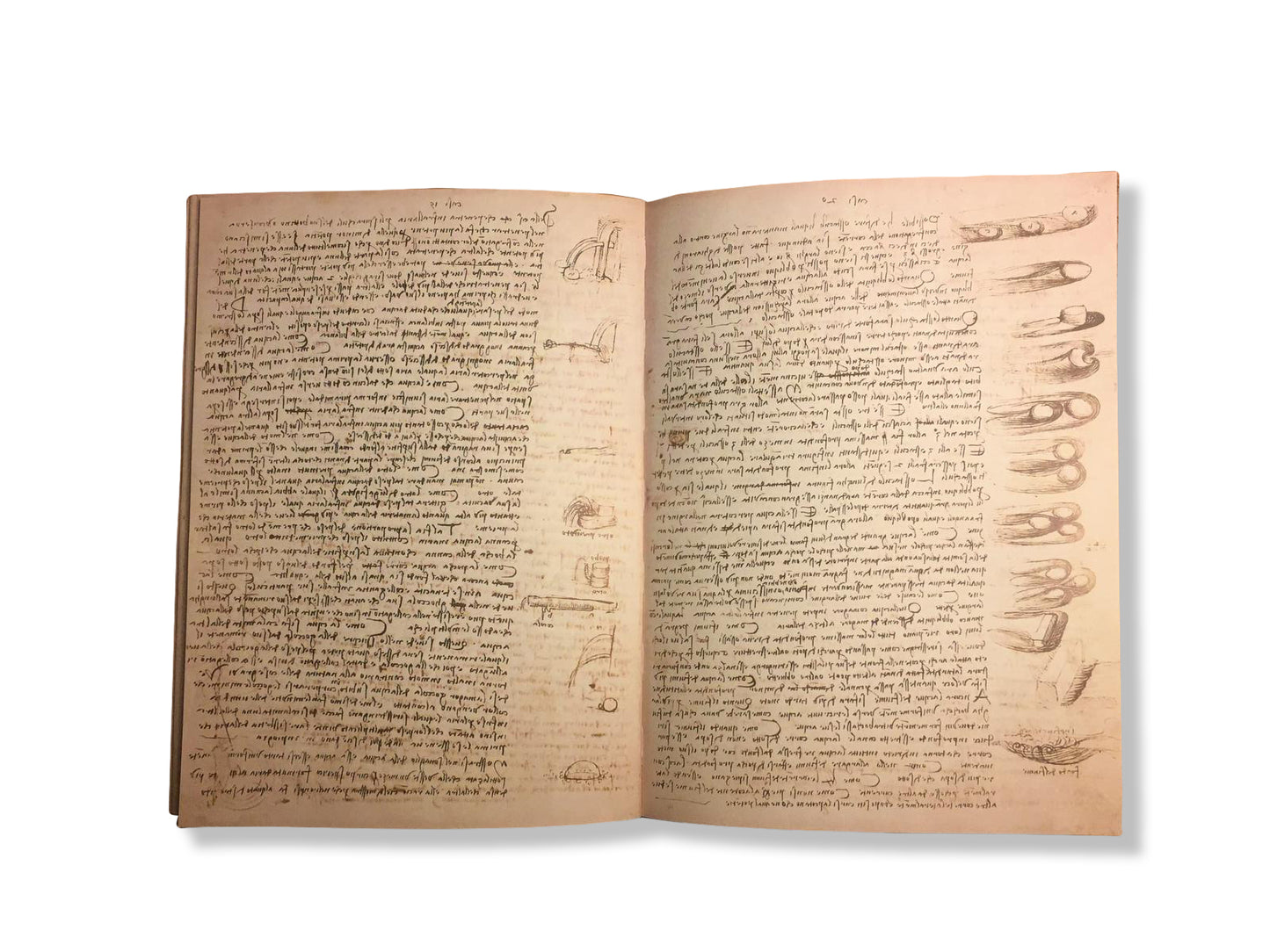 Codex Leicester (Leonardo Da Vinci)