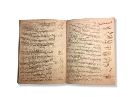 Codex Leicester (Leonardo Da Vinci)