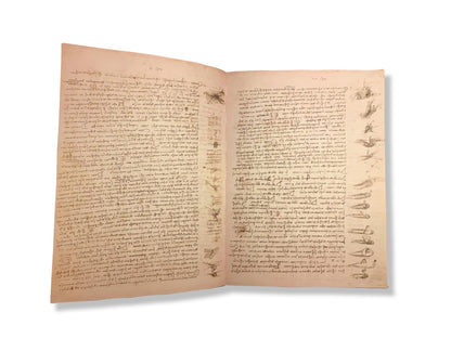 Codex Leicester (Leonardo Da Vinci)