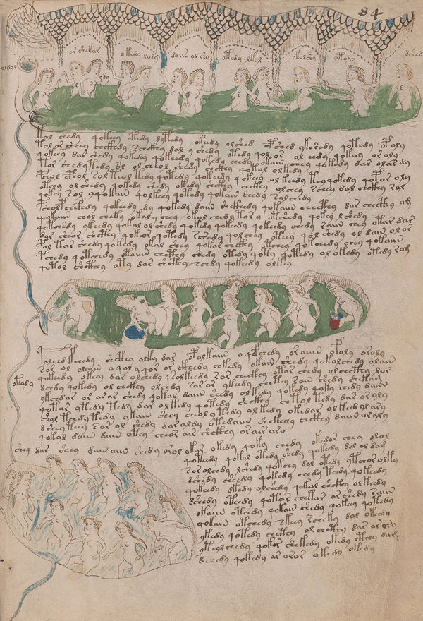 El Manuscrito Voynich  XXL