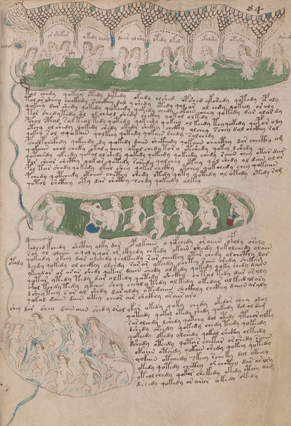 El Manuscrito Voynich  XXL