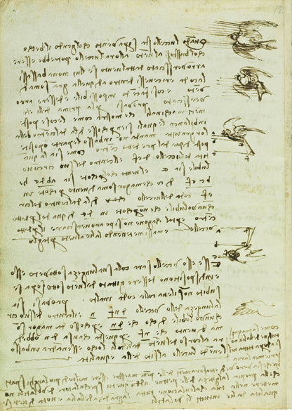 Codex On The Flights Of Birds