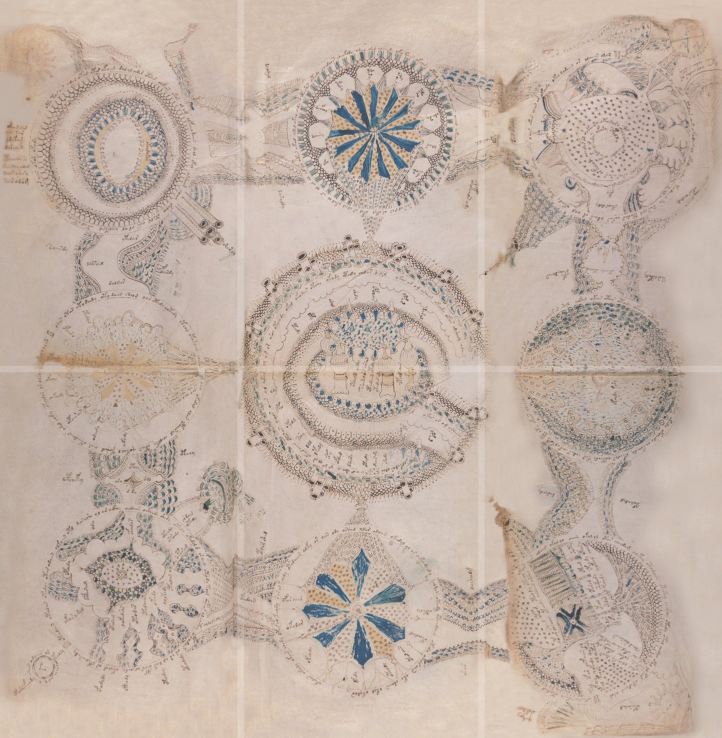 El Manuscrito Voynich  XXL