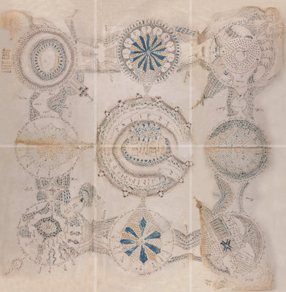 El Manuscrito Voynich  XXL