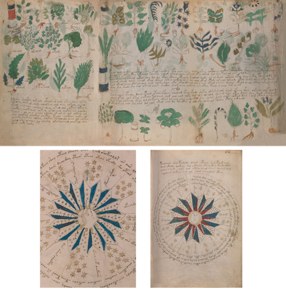 El Manuscrito Voynich  XXL
